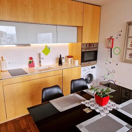 Unique Penthouse Near Livaria Lello - 40m2 Terrace And Free Parking