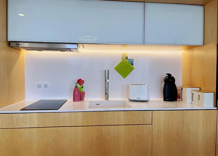 Unique Penthouse Near Livaria Lello - 40m2 Terrace And Free Parking Apartment *