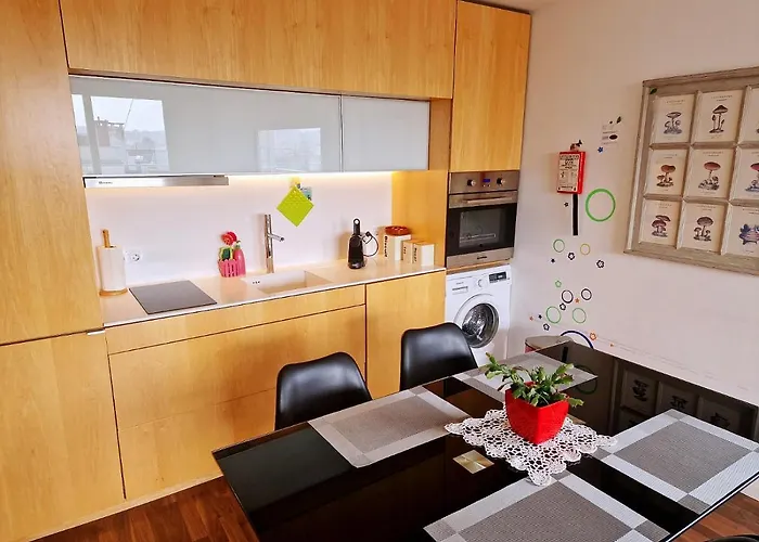 Unique Penthouse Near Livaria Lello - 40m2 Terrace And Free Parking